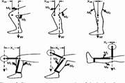 Comparison of kinematics of ACL-deficient and healthy knees during passive flexion and isometric leg press 